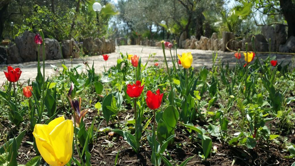 Agriturismo Tenuta La Siesta กัลลีโปลี ภายนอก รูปภาพ