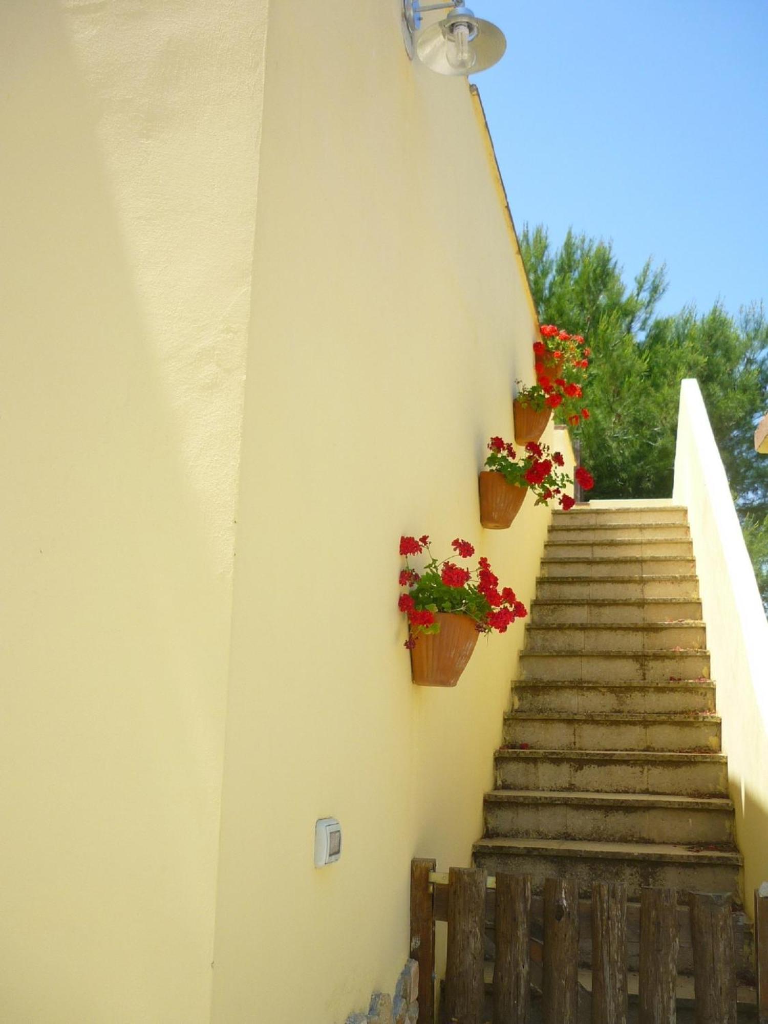 Agriturismo Tenuta La Siesta กัลลีโปลี ภายนอก รูปภาพ