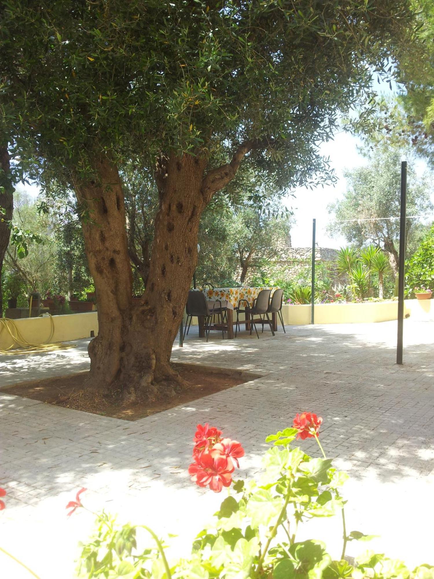 Agriturismo Tenuta La Siesta กัลลีโปลี ภายนอก รูปภาพ