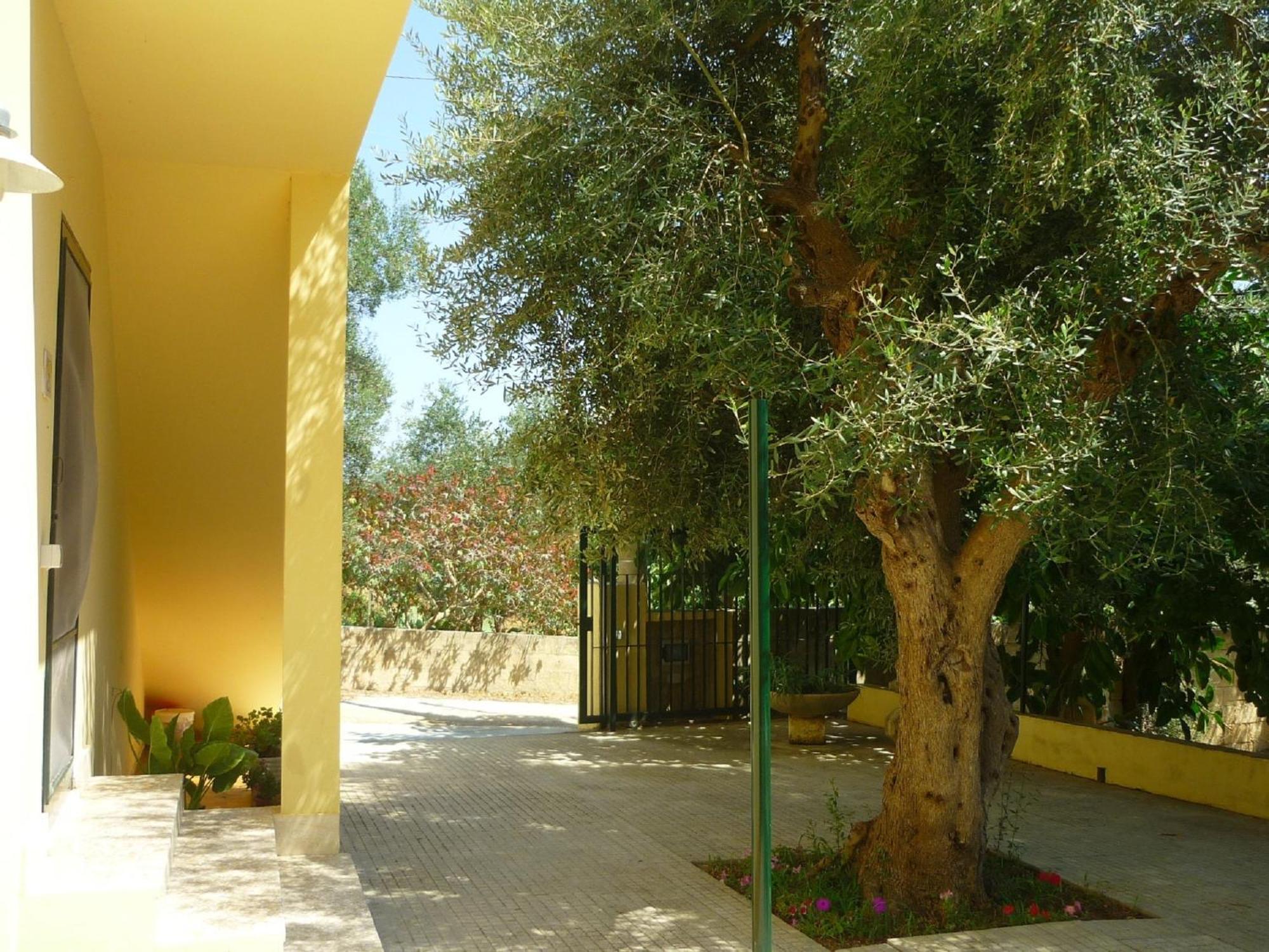 Agriturismo Tenuta La Siesta กัลลีโปลี ภายนอก รูปภาพ