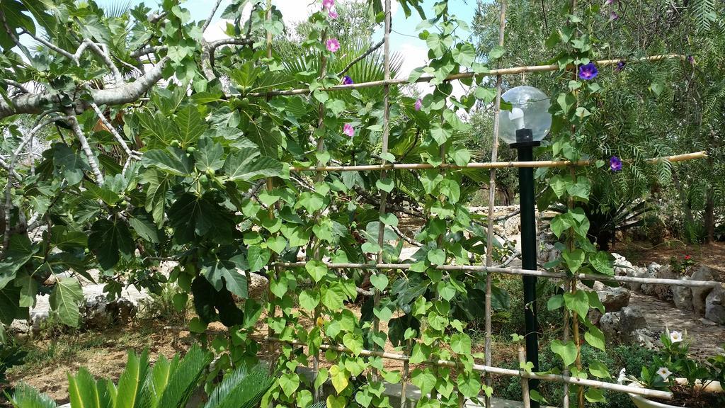 Agriturismo Tenuta La Siesta กัลลีโปลี ภายนอก รูปภาพ