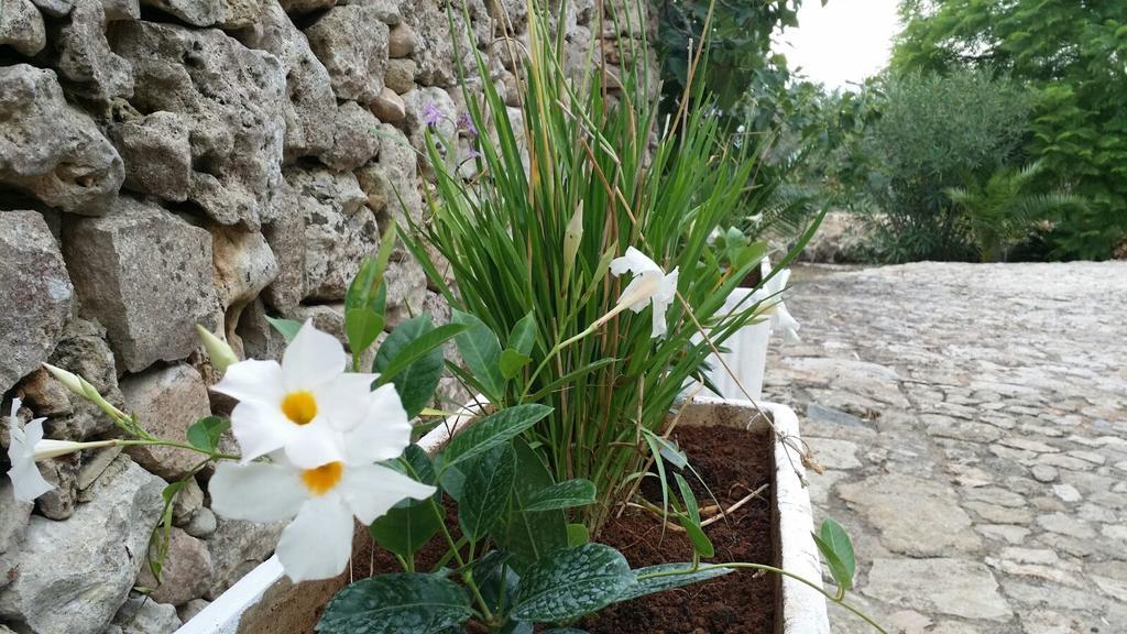Agriturismo Tenuta La Siesta กัลลีโปลี ภายนอก รูปภาพ