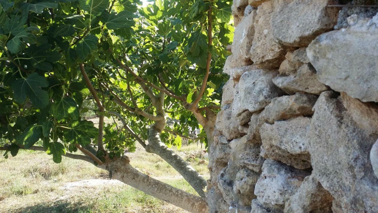 Agriturismo Tenuta La Siesta กัลลีโปลี ภายนอก รูปภาพ
