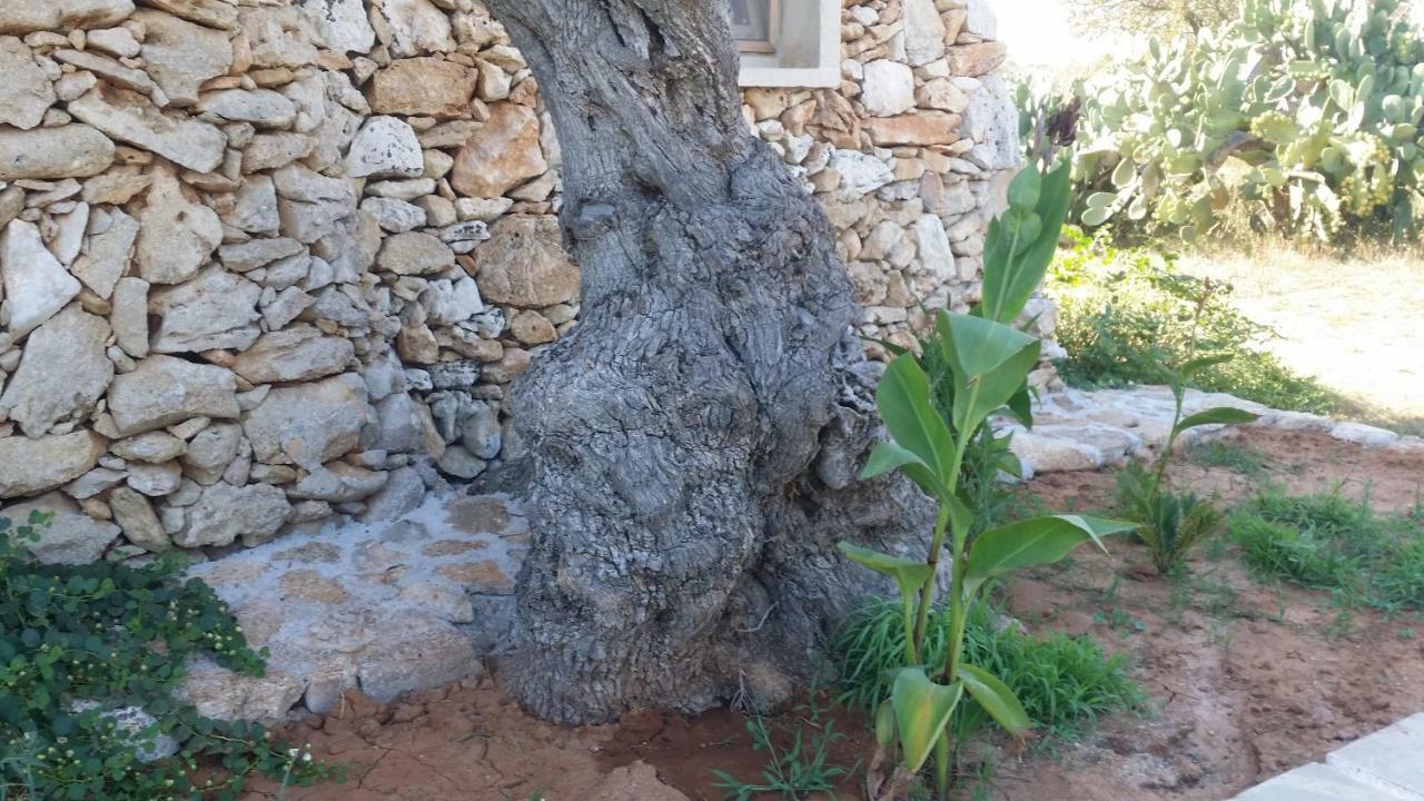 Agriturismo Tenuta La Siesta กัลลีโปลี ภายนอก รูปภาพ