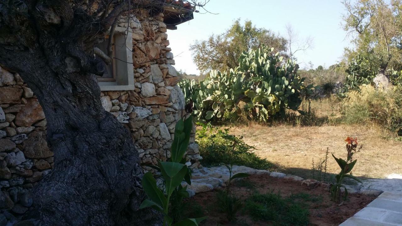 Agriturismo Tenuta La Siesta กัลลีโปลี ภายนอก รูปภาพ
